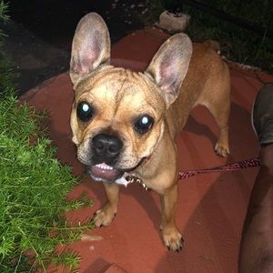 Meet your Posher, Antonio